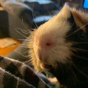 Meet your Posher, Selena